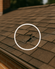 Photo Report of Damages
